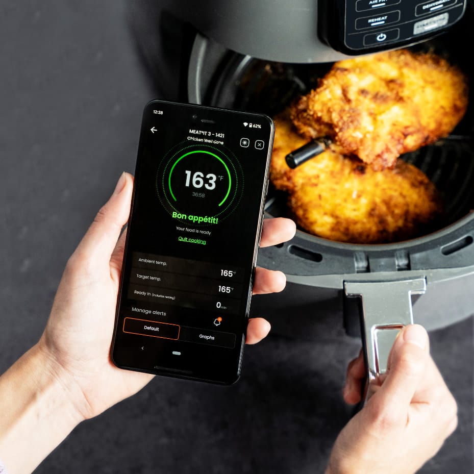 Testeur Température Viande Barbecue Thermomètre Numérique Sonde WT-1 -50°C à +300°C - Pour Cuisine, BBQ, Viande - Pile LR44 Thermomètre BBQ Précision