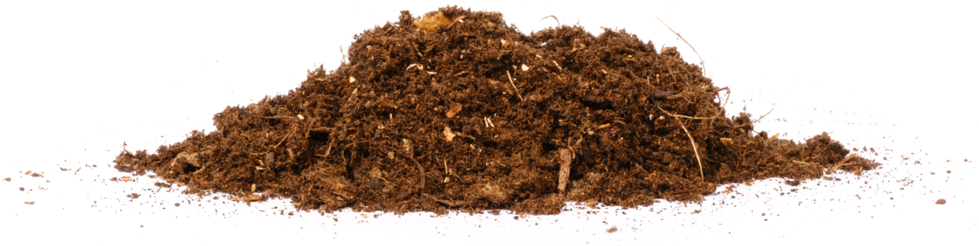 Image colonne centrale