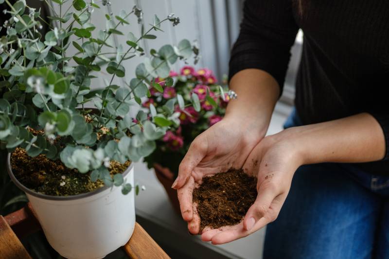 Image colonne gauche