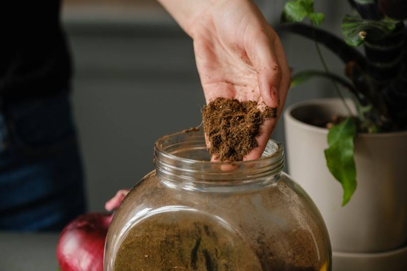 Image colonne centrale