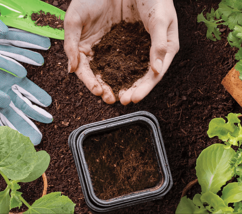 <p>Nourrir la terre</p>
