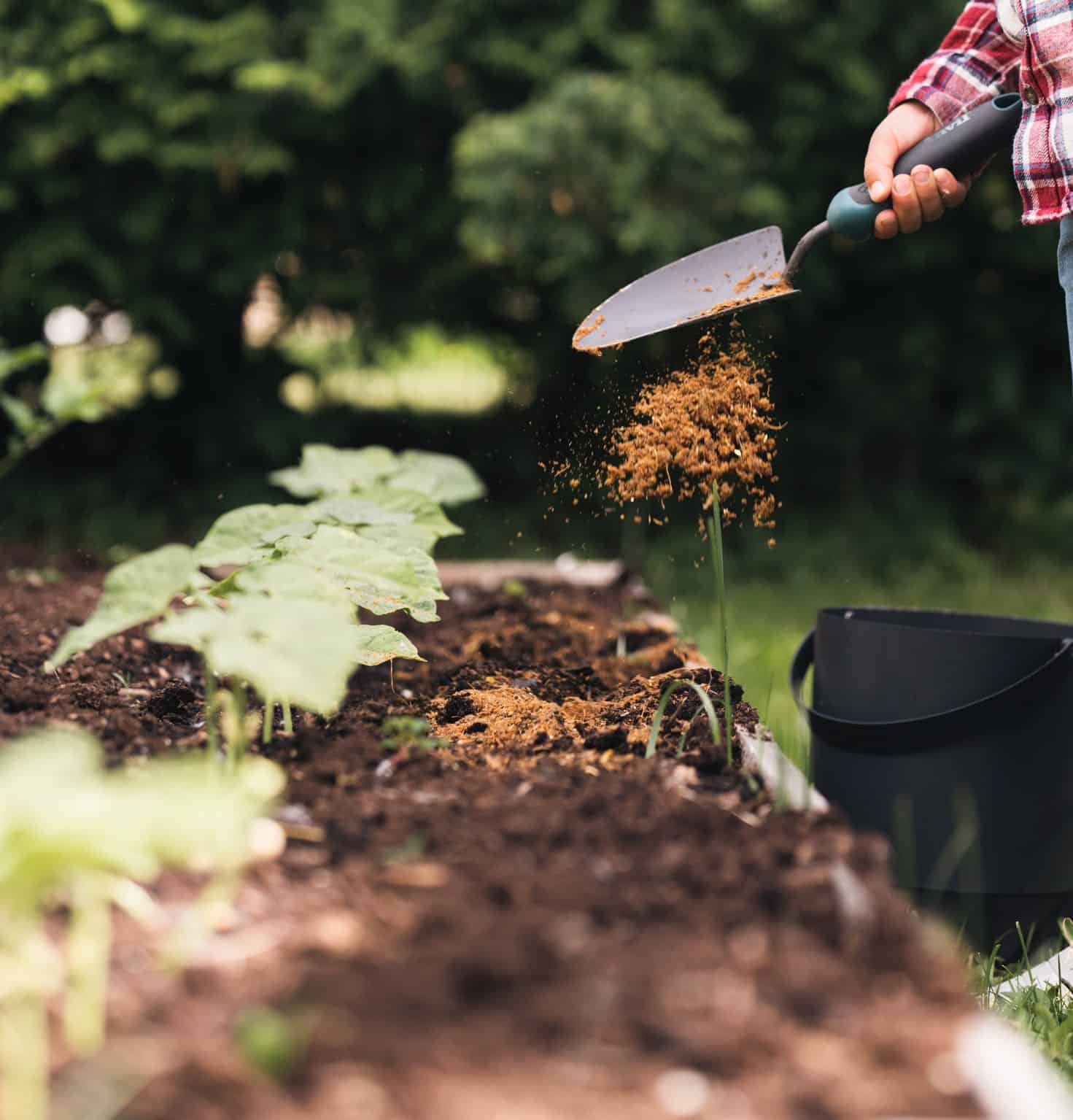 Image colonne gauche