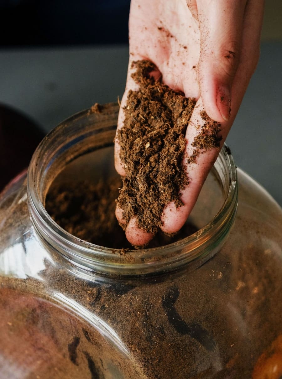 Image colonne centrale