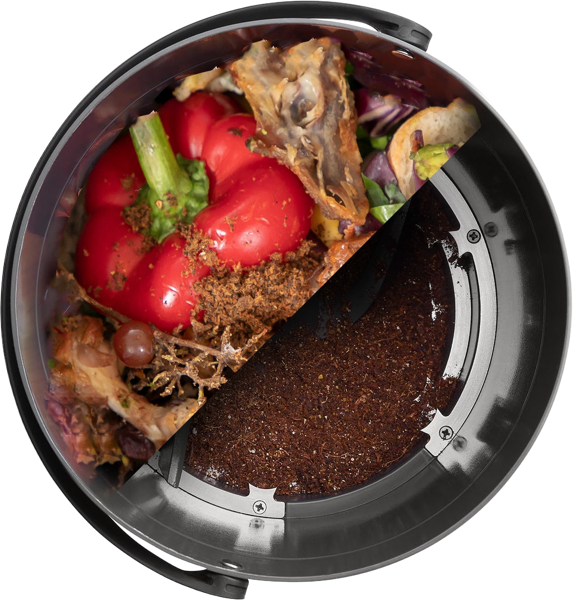 Image colonne droite