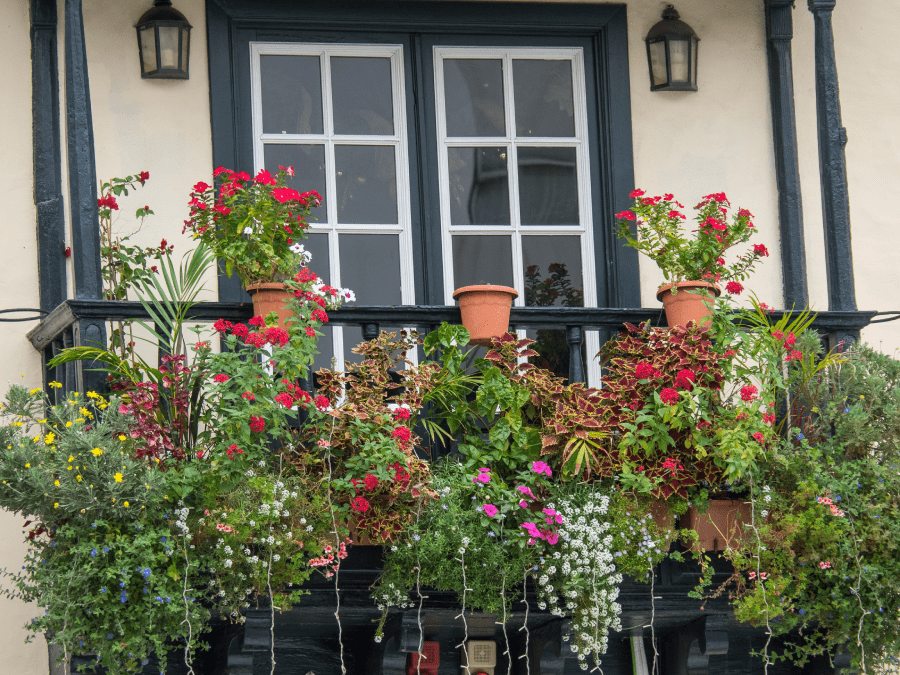 Image colonne droite