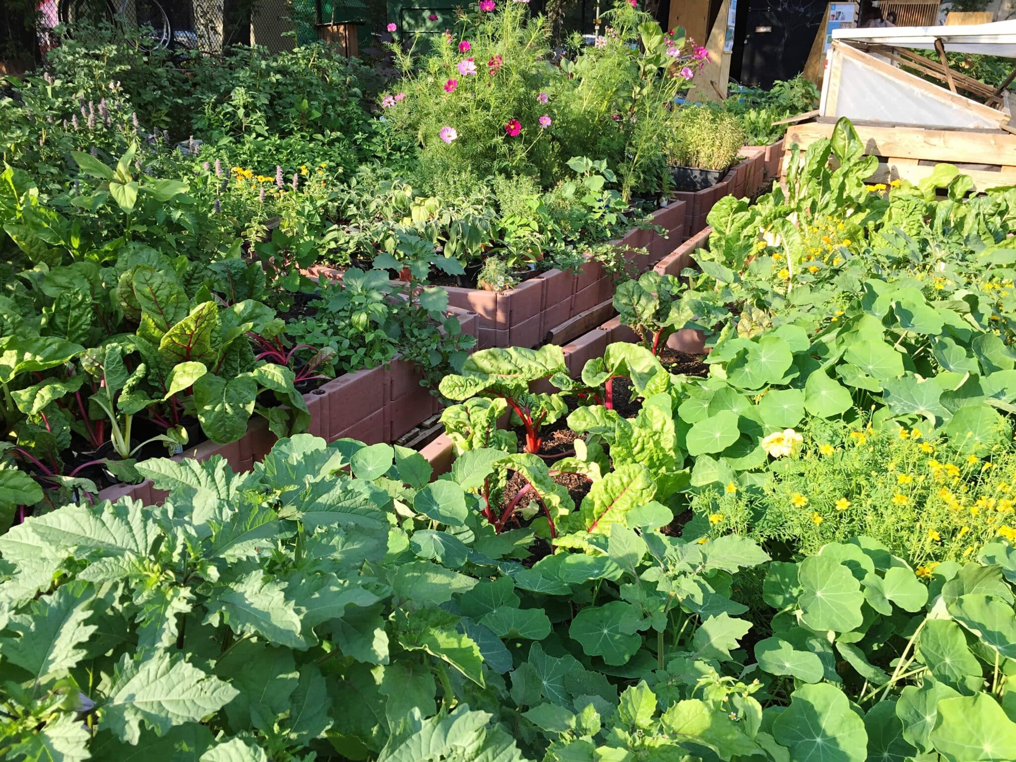 Image colonne droite